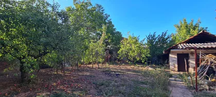 Milka Protić | 4zida.rs