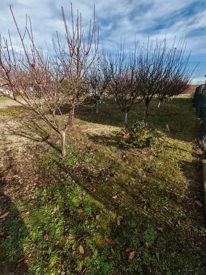 Okolne lokacije | 4zida.rs