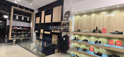 Zmaj Jovina | 4zida.rs