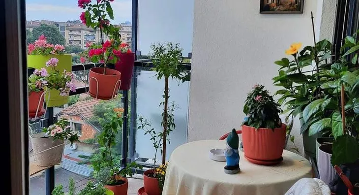 Troiposoban stan | 4zida