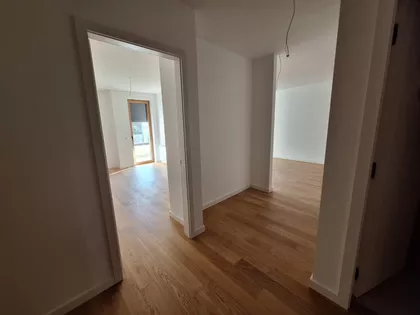 Požeška | 4zida.rs