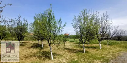 Draževac | 4zida.rs
