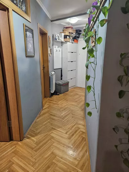 Bulevar Patrijarha Pavla (Somborski Bulevar) | 4zida.rs