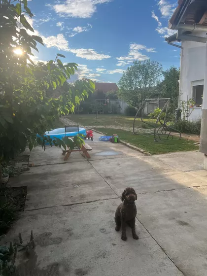 Moše Pijade 33 | 4zida.rs
