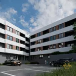 Novi Sad, Gradske lokacije, Telep | 4zida.rs | 4zida.rs