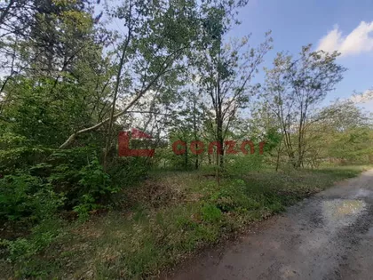 Kelebija | 4zida.rs