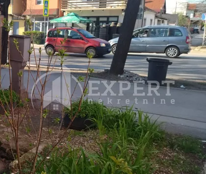 Knjaževačka | 4zida.rs