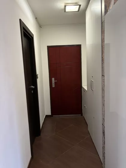 Davida Pajića 4 | 4zida.rs