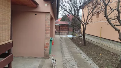 Gradske lokacije | 4zida.rs