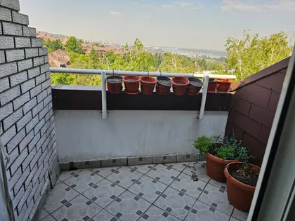 Palilula | 4zida.rs