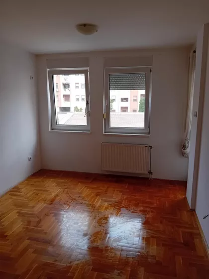 Dr Svetislava Kasapinovića | 4zida.rs