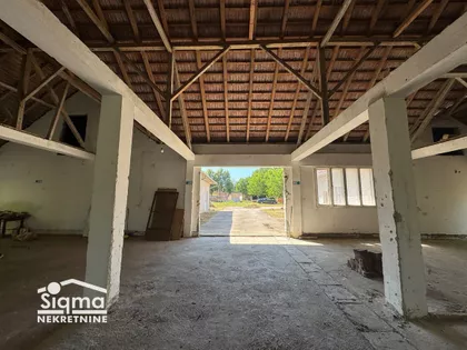 Jaša Tomić | 4zida.rs