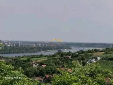 Ledinci