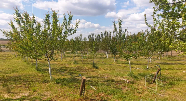 Poljoprivredno zemljište | 4zida