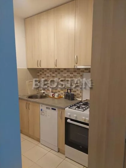 Mileve Maric Ajnstajn | 4zida.rs