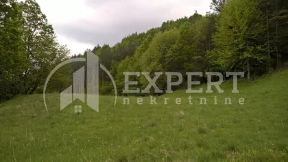 Mitrovo Polje | 4zida.rs