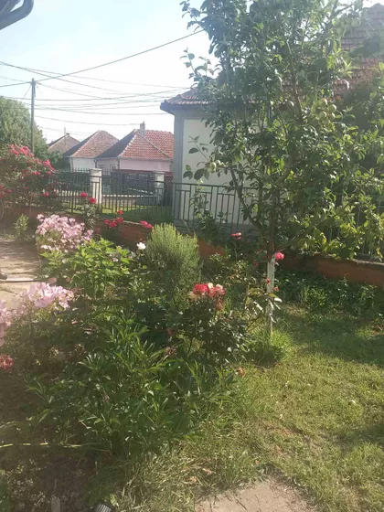 Rastka Petrovića 1 | 4zida.rs