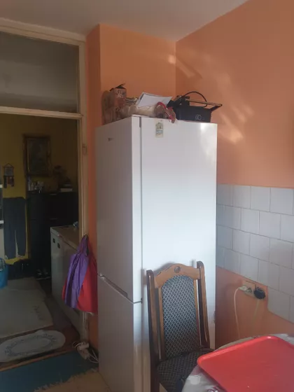 Šojka | 4zida.rs