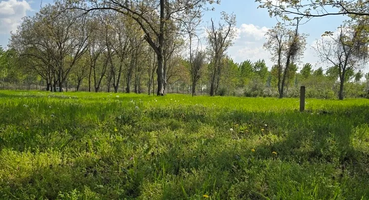 Poljoprivredno zemljište | 4zida