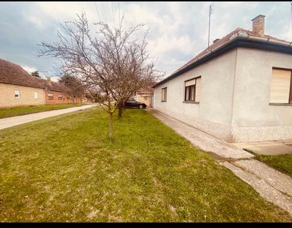 Bajmok | 4zida.rs