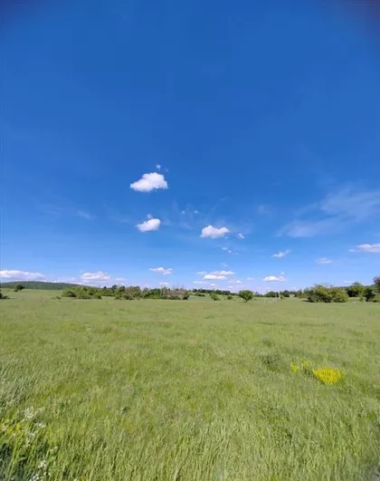 Rožanstvo | 4zida.rs