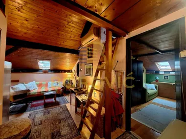 Profesorska Kolonija