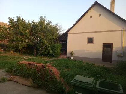Cara Lazara 69 | 4zida.rs