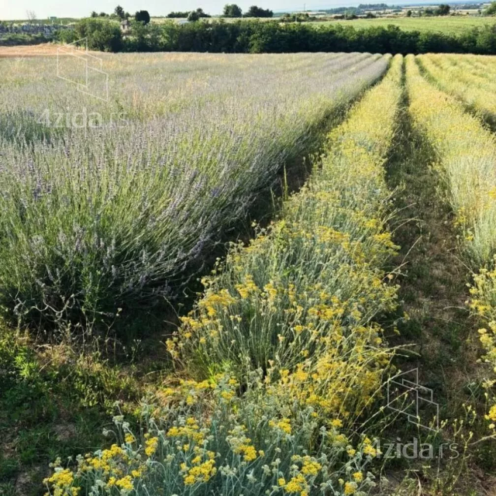 Poljoprivredno zemljište | 4zida