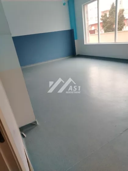 Dr Svetislava Kasapinovića | 4zida.rs