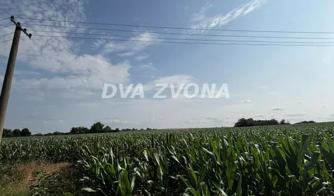 Plac | 4zida