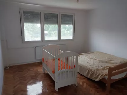 Radijalac | 4zida.rs