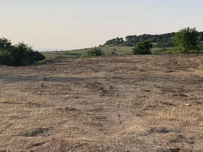 Aleksandra Bugarskog | 4zida.rs