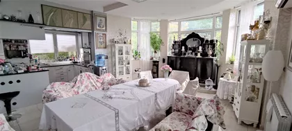 Miće Orlovića | 4zida.rs