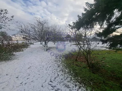 Mihajla Pupina | 4zida.rs