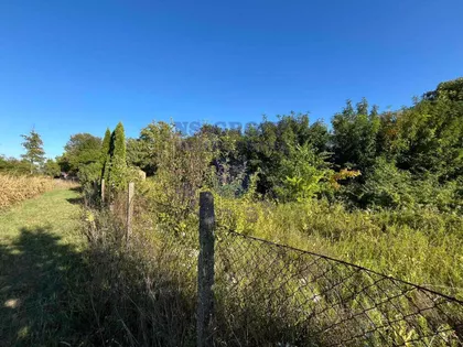 Međunarodni Put | 4zida.rs