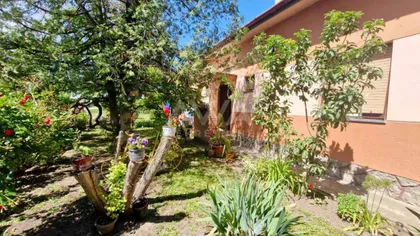 Bački Brestovac | 4zida.rs