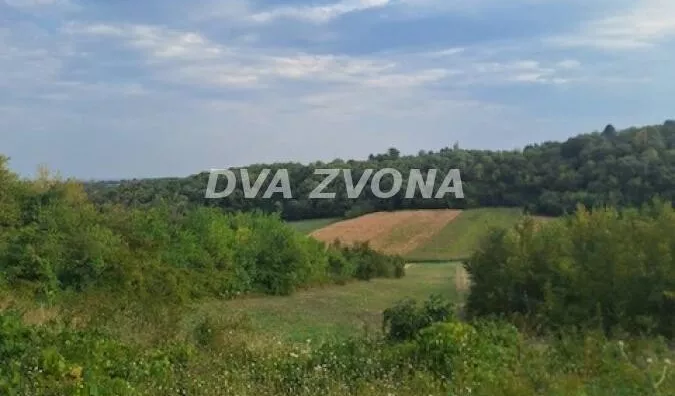 Plac | 4zida