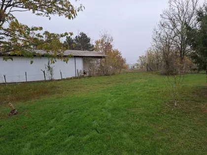 Cara Dušana | 4zida.rs