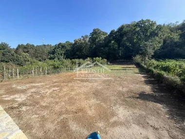 Izletnička