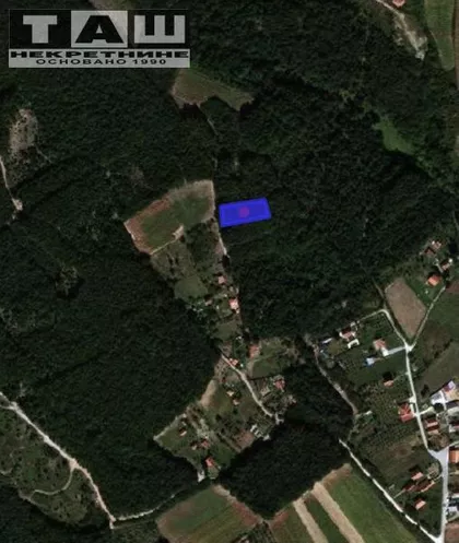Šumarice | 4zida.rs