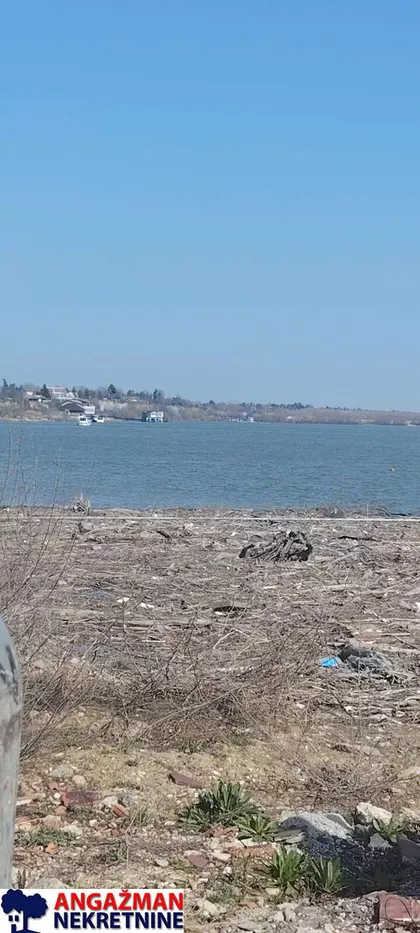 Milana Pavlovića | 4zida.rs