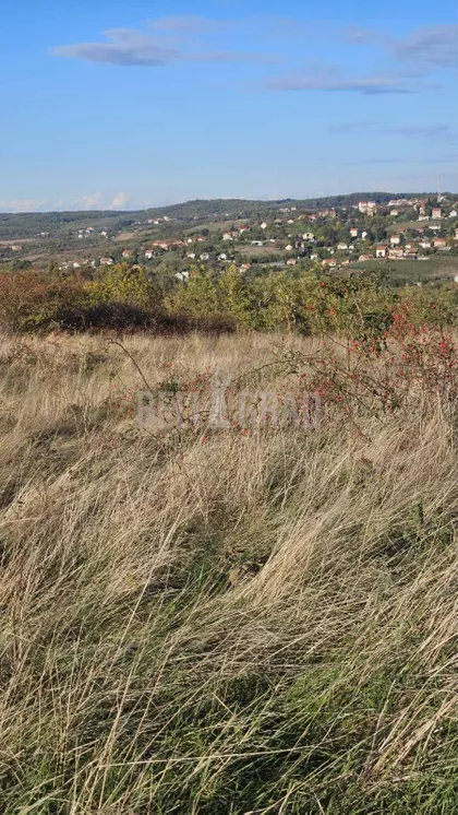 Potes Kolarica | 4zida.rs