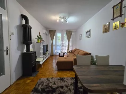 Žila Verna | 4zida.rs
