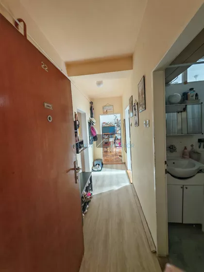 Vojvode Stepe | 4zida.rs