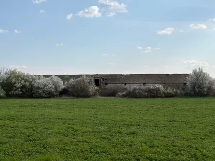 Knićanin | 4zida.rs