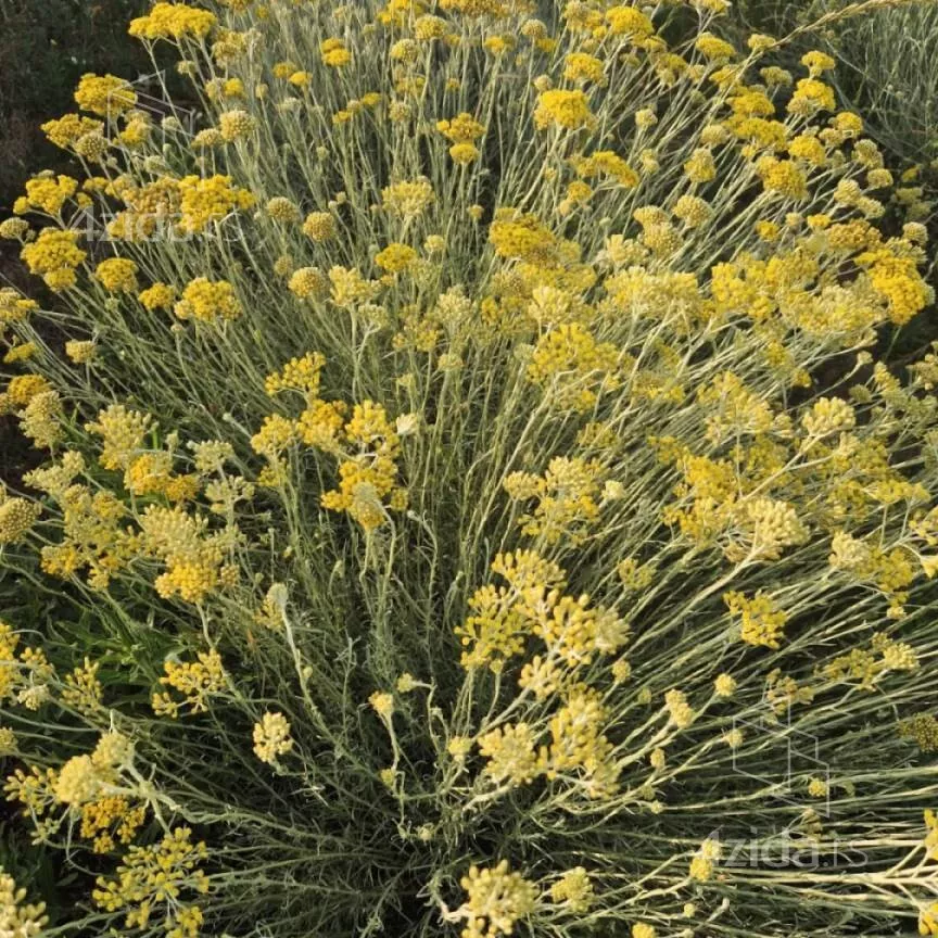 Poljoprivredno zemljište | 4zida