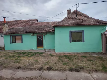 Bajmok | 4zida.rs