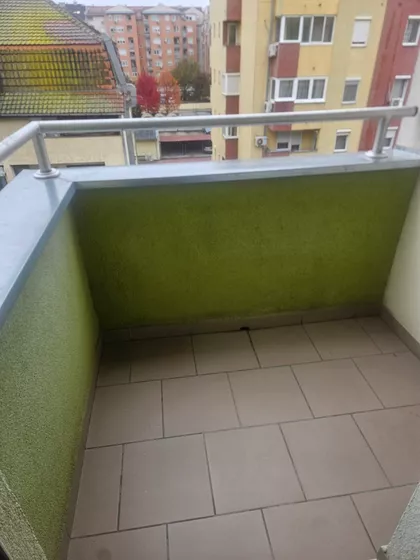 Dr Svetislava Kasapinovića | 4zida.rs