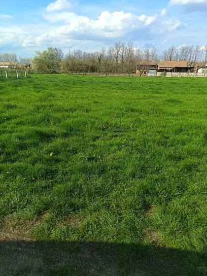 Đenerala Draže Mihailovića bb | 4zida.rs