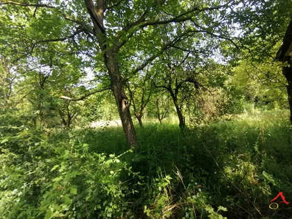 Sremska Kamenica | 4zida.rs